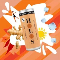 HOLOS Kombucha Soda Ginger & Turmeric [250ml Cans] -Liquor Series Store 61ftVy0sdsL. AC SX679 720x 1d31d6b7 b37a 49b0 b83d 85eea1bd32a9