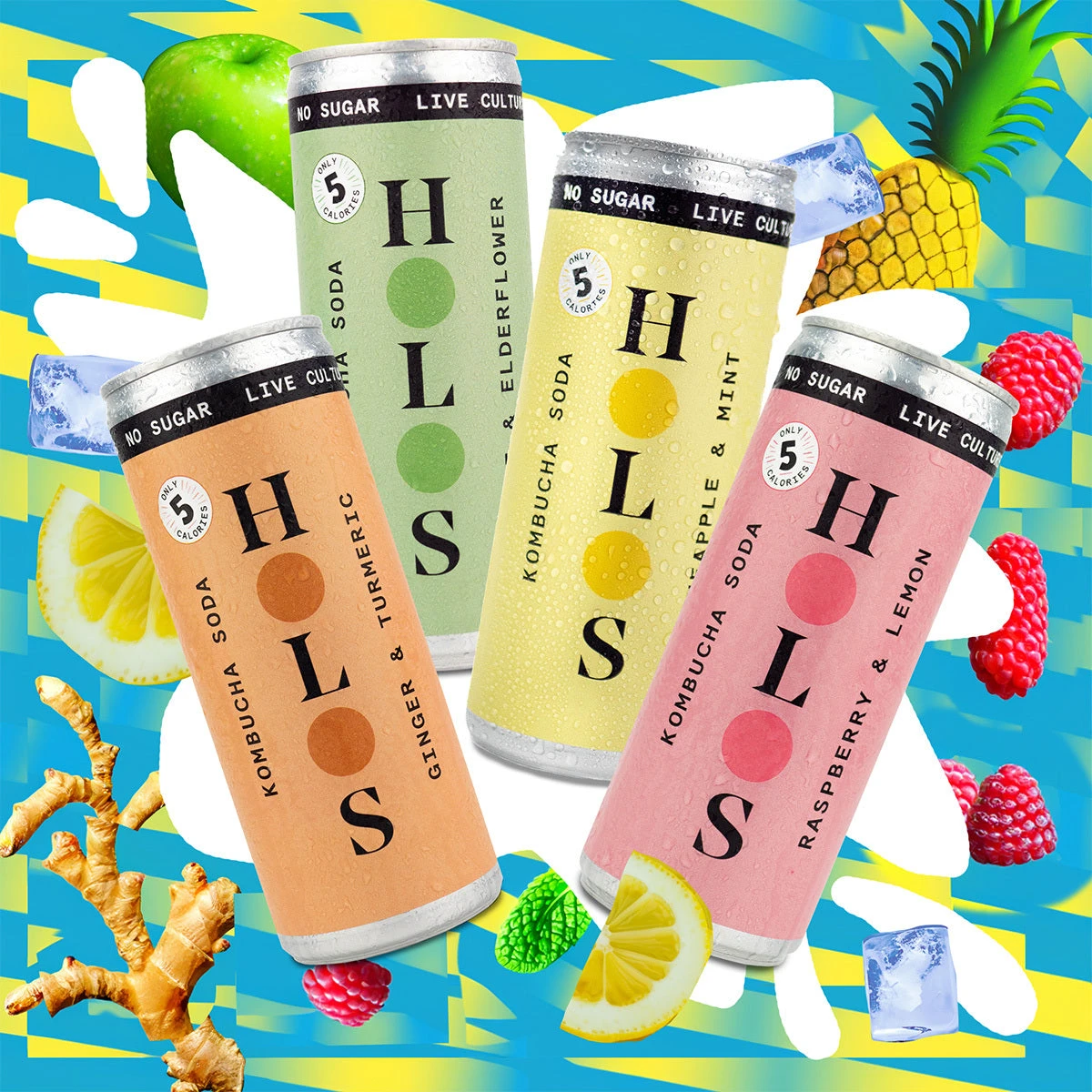 HOLOS Kombucha - Mixed Case 2 HOLOS Kombucha - Mixed Case - Image 2